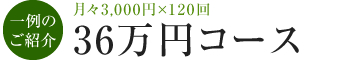 一例のご紹介 月々3,000円×120回 36万円コース