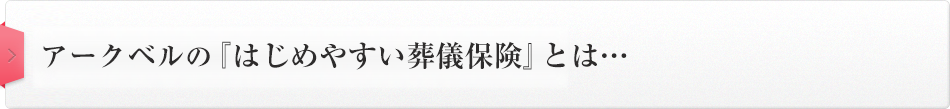 アークベルの『少額短期保険』とは…