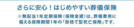 さらに安心! 少額短期保険